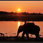 Feierabend in Chitwan