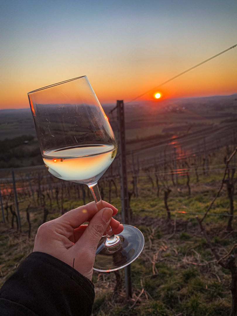 Feierabend in den Ipsheimer Weinbergen