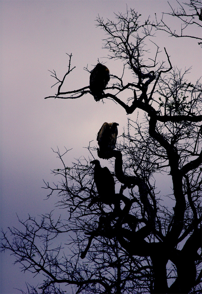 Feierabend... ;o)