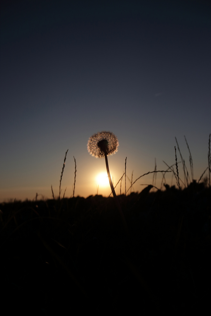 Feierabend_01