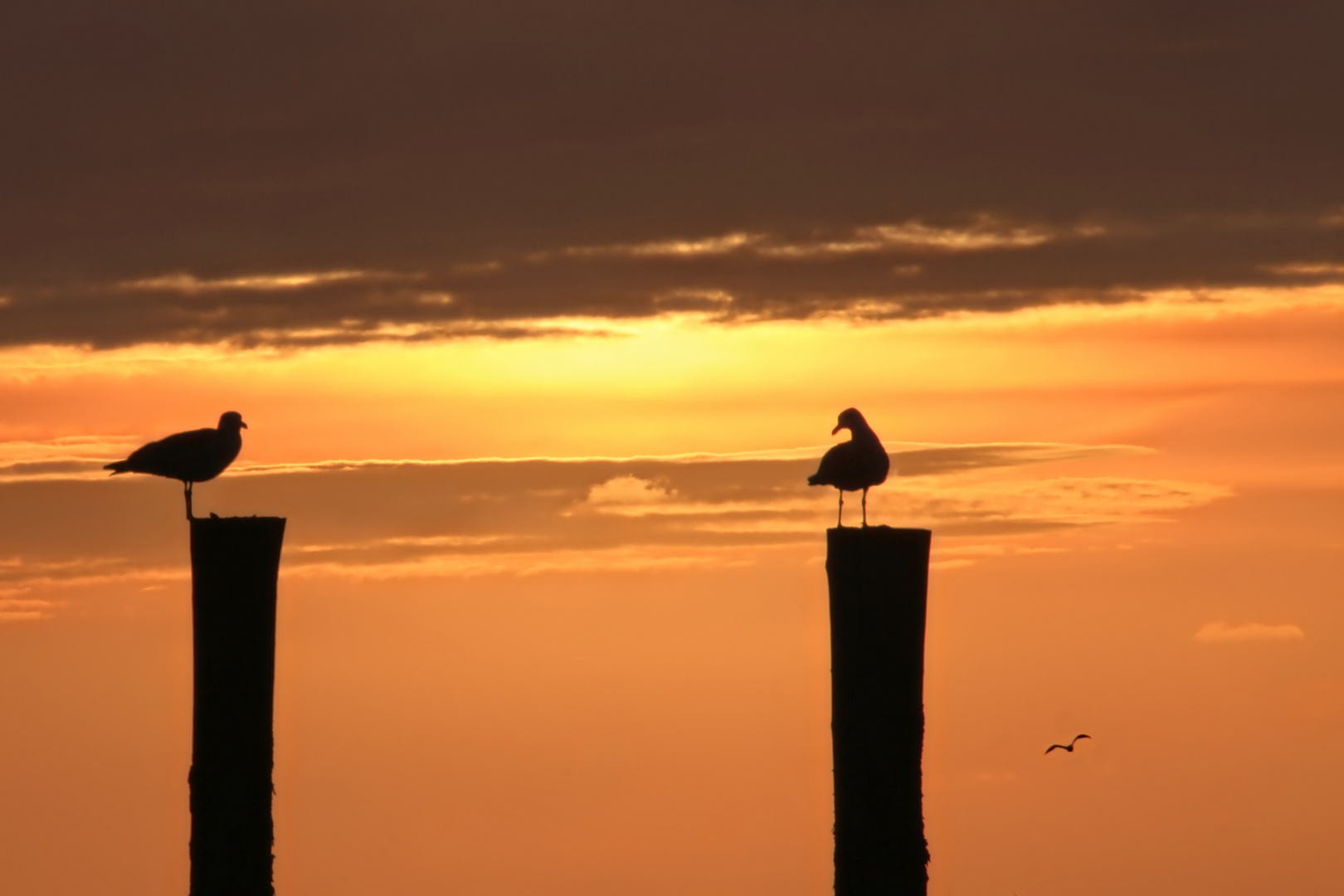 Feierabendstimmung an der Nordsee