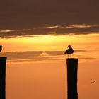 Feierabendstimmung an der Nordsee