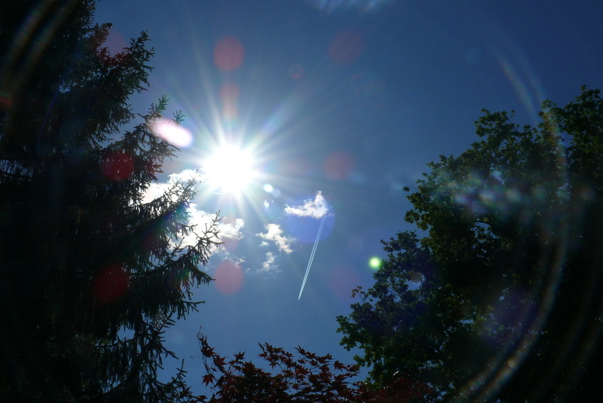 Feiertagsblick in den Himmel (1. Mai 2007)