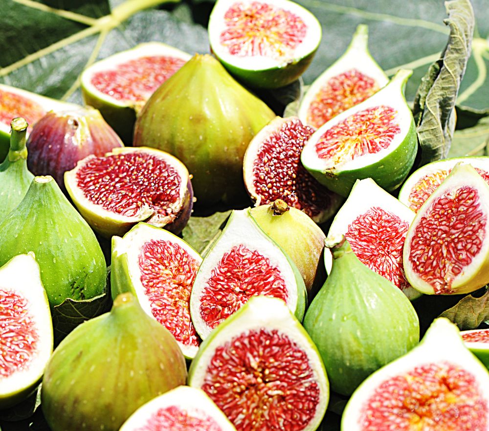 Feige Foto & Bild pflanzen, pilze & flechten, früchte und beeren