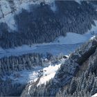 fein eingebettet: der Seealpsee