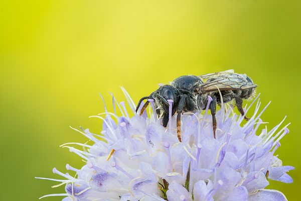"Fein gebettet......"