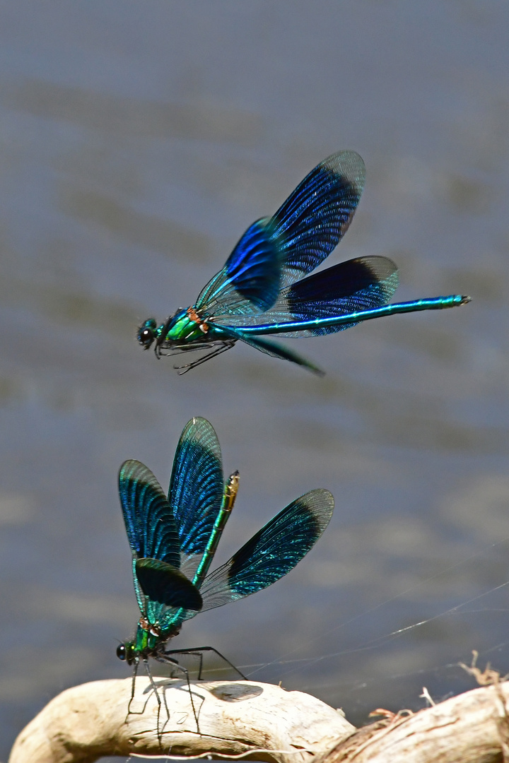 Feindlicher Überflug.