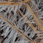 Feine Eisstrukturen im dürren Gras! - Fines structures de glace dans l'herbe sèche!