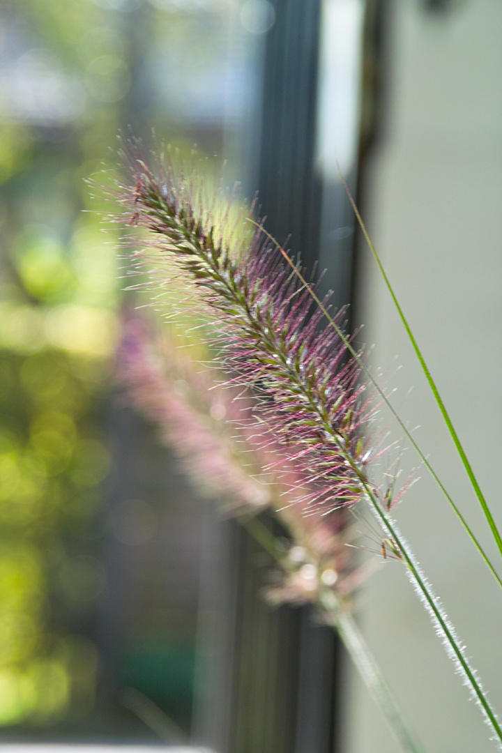 Feine Herbstboten