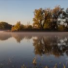 Feine Morgennebel auf der Donau.