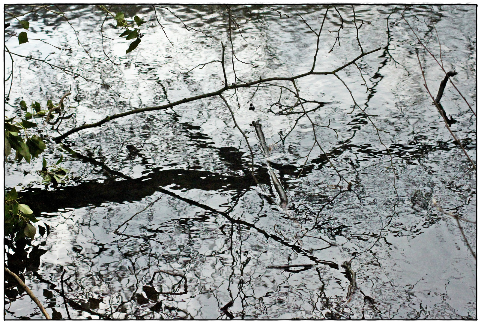 Feine Strukturen im Wasser