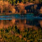 " feines licht am see "