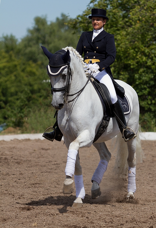 Feines Reiten