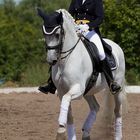 Feines Reiten