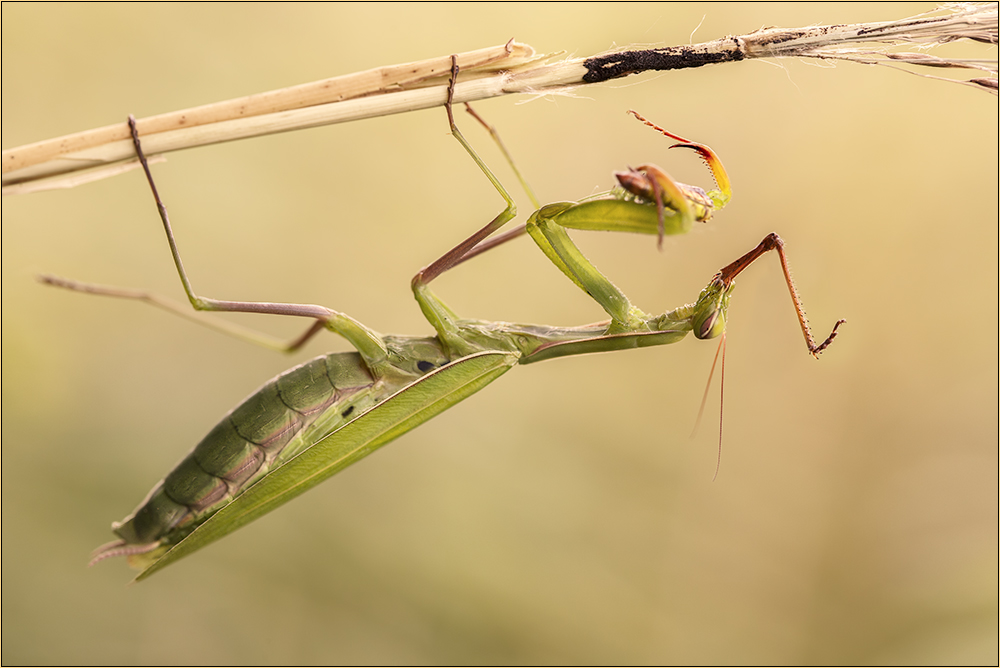 Feinschmecker- Foto 1 von einer ungewöhnlichen Erlebnisabfolge