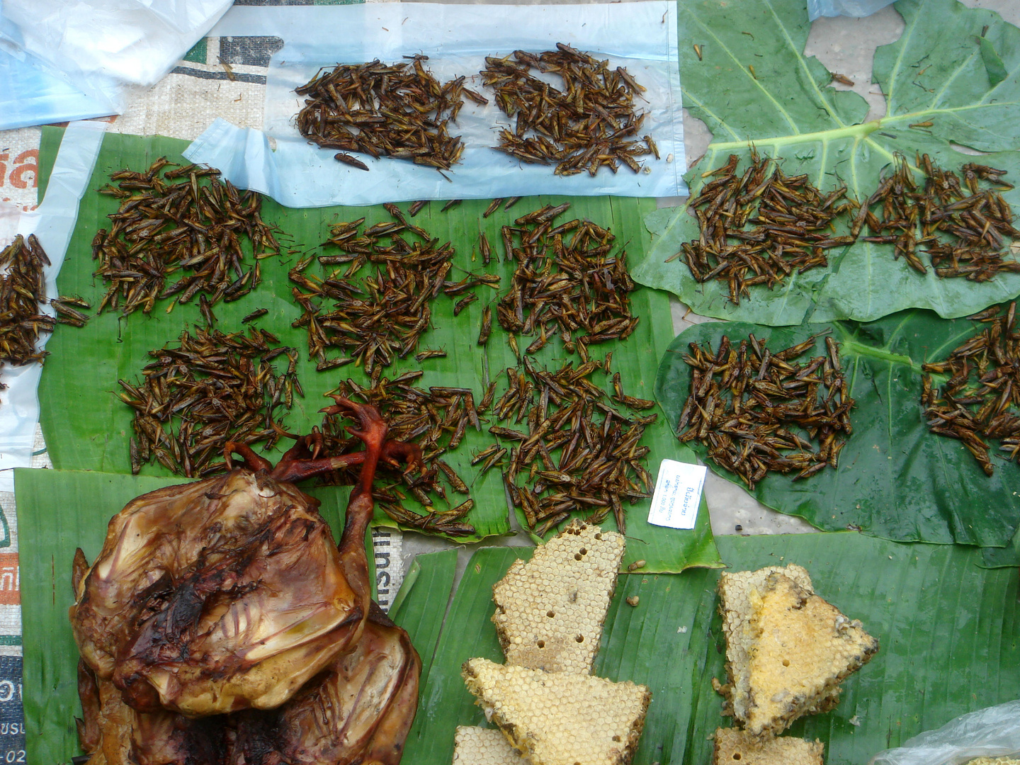 Feinschmeckerplatte in Laos