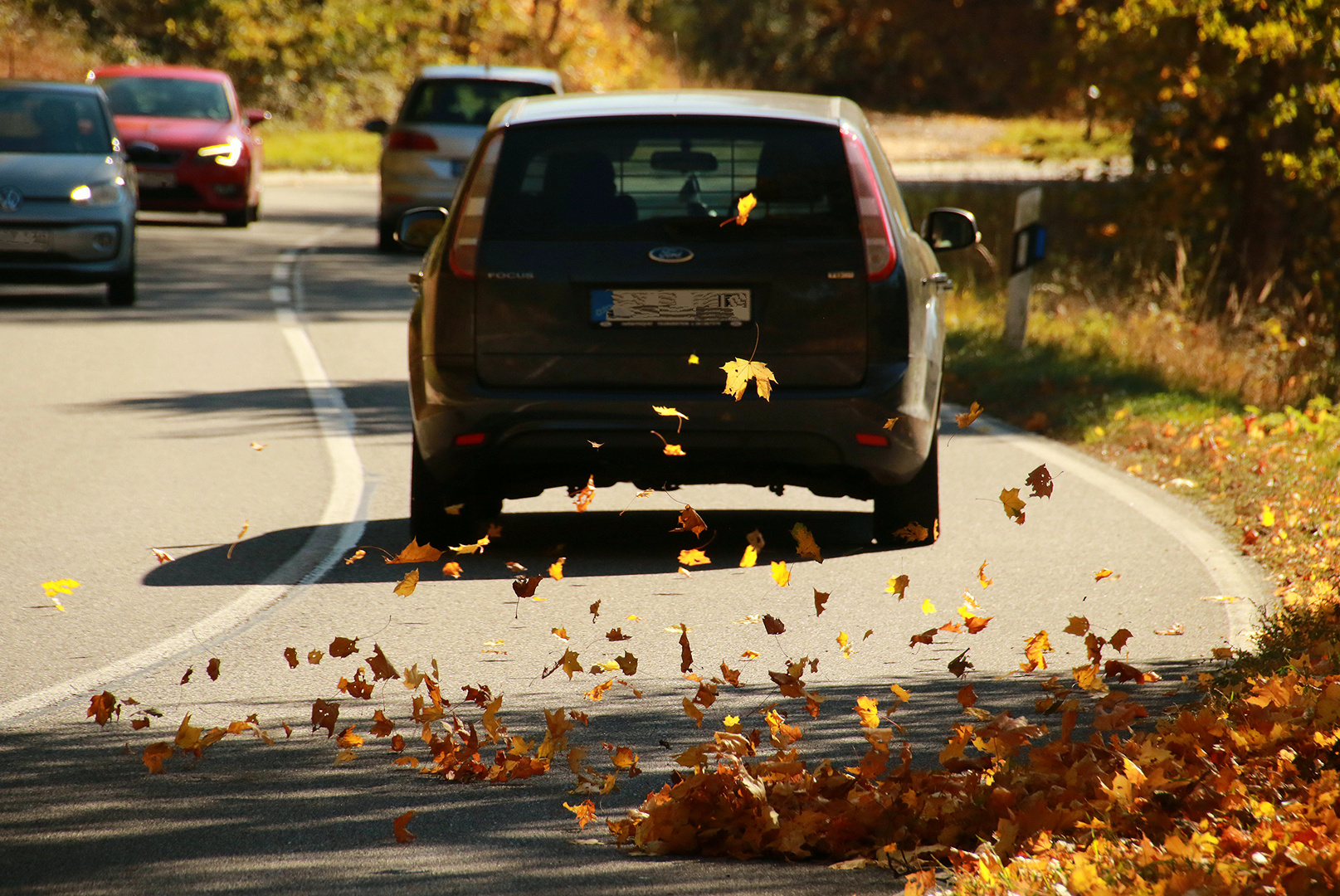 Feinstaub oder Herbstlaub?