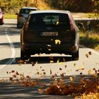 Feinstaub oder Herbstlaub?