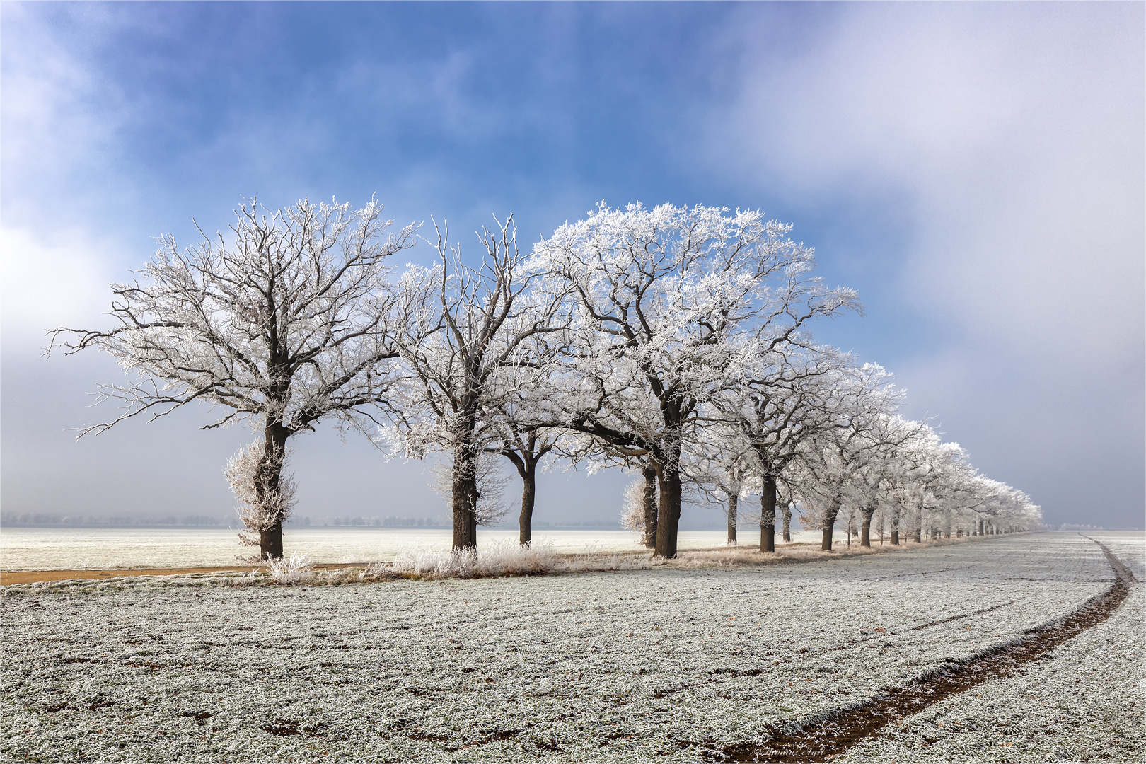 Feinstes Sonntagswinterfotowetter...