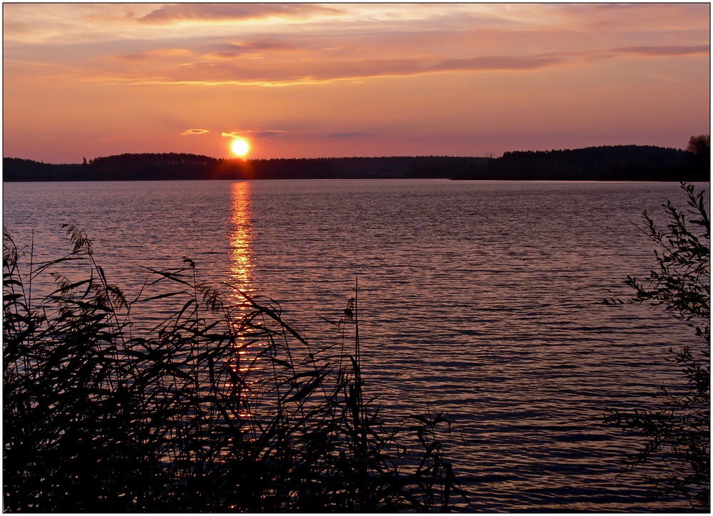 Feisnecksee am Morgen