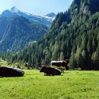 felbertauern