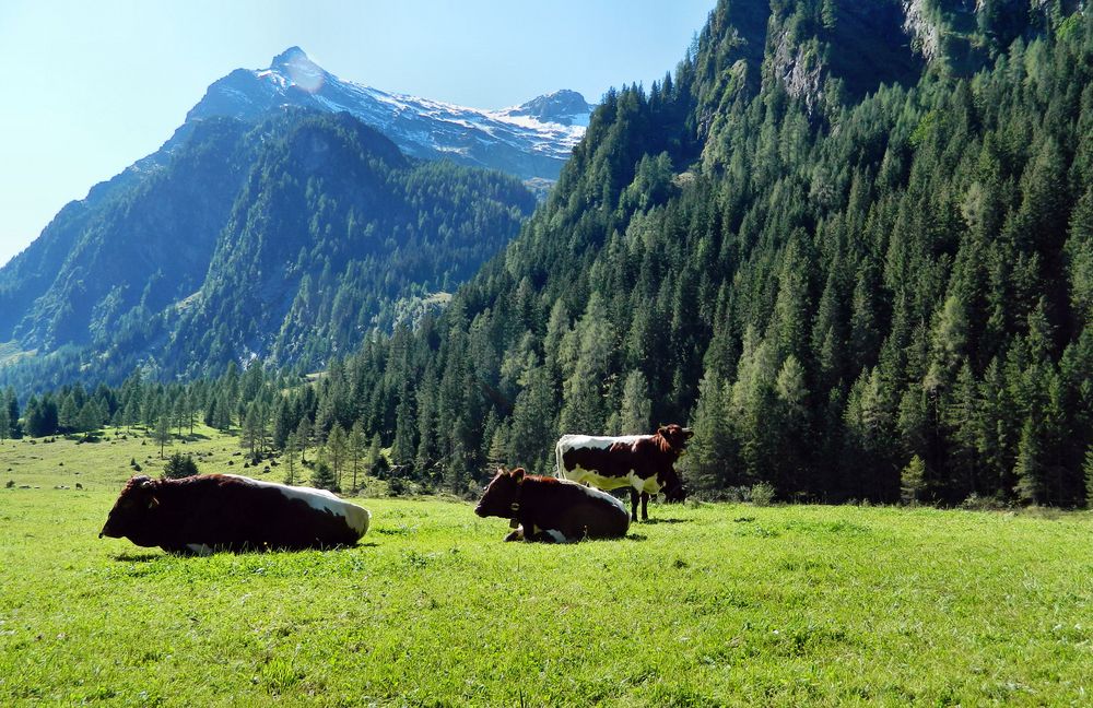 felbertauern