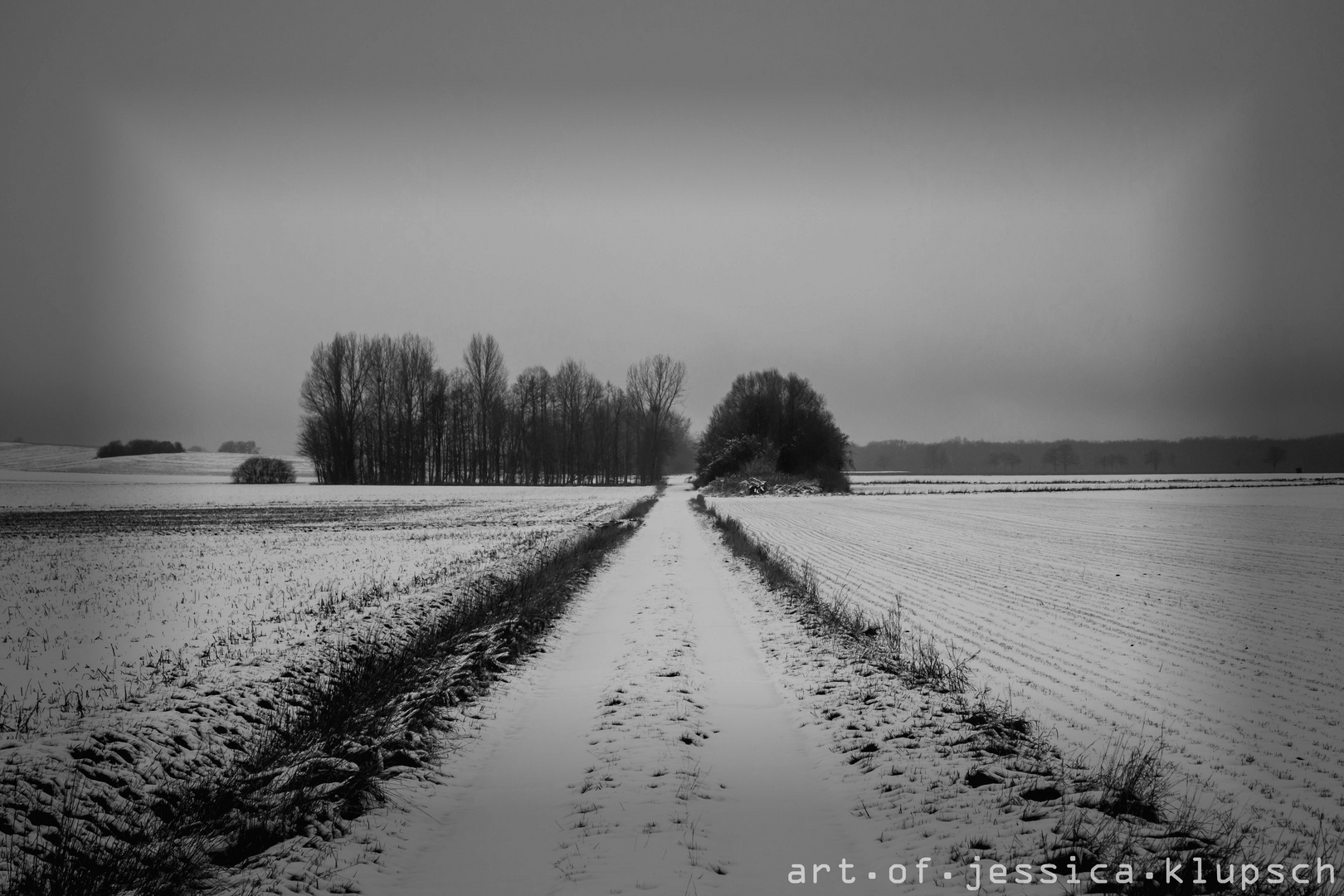 Feld  (3 von 1)mit rahmen