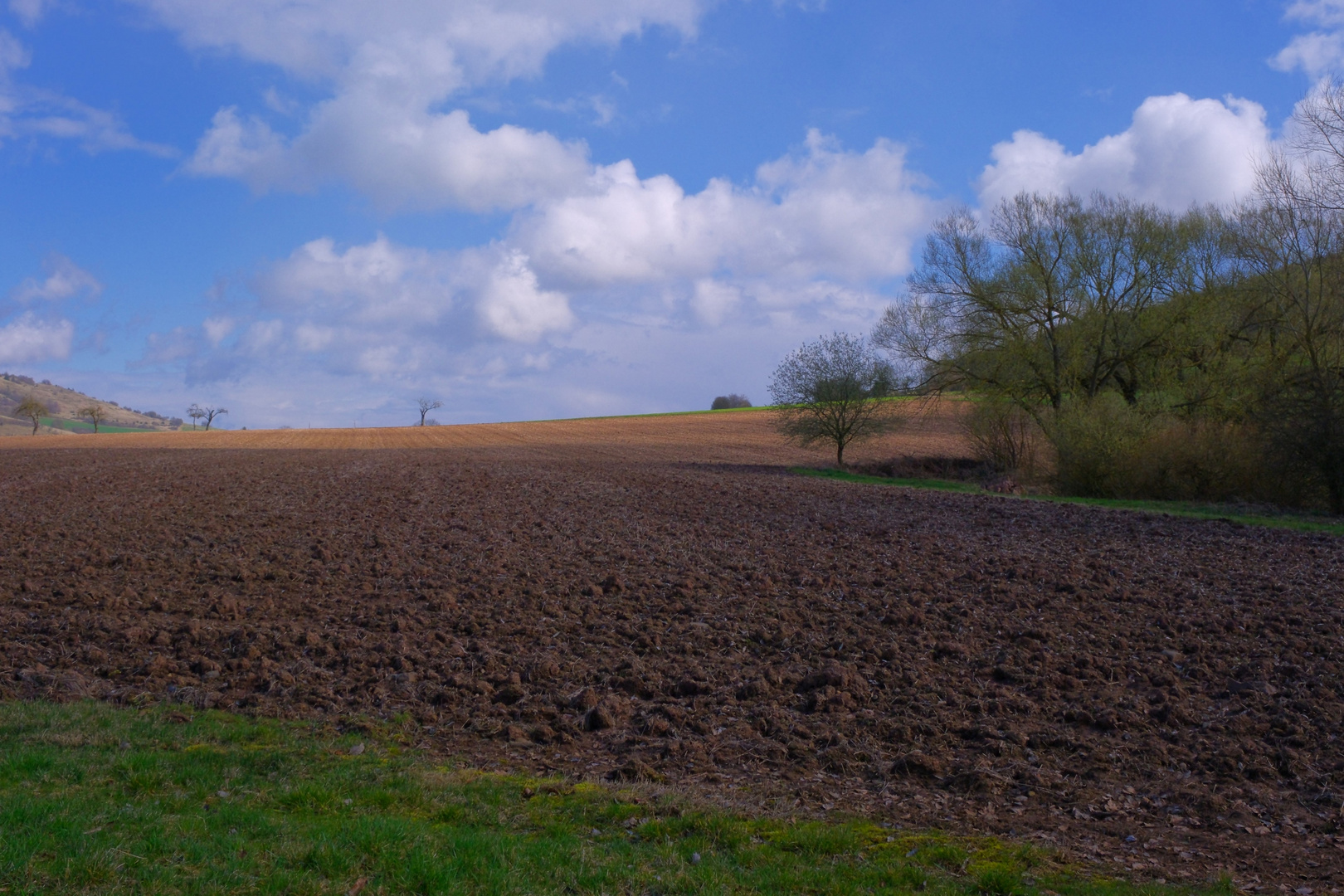 Feld am See