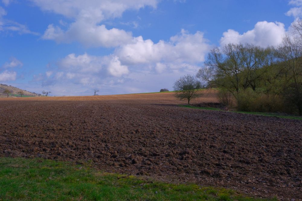 Feld am See