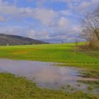 Feld am See (campo junto al lago)