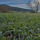 Feld am See (campo junto al lago)