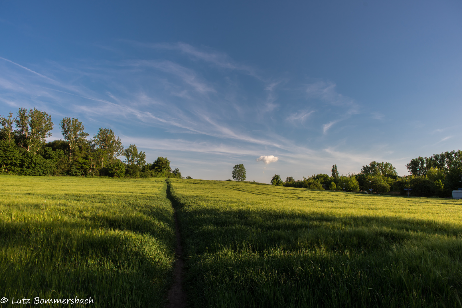 Feld am Wäldchen