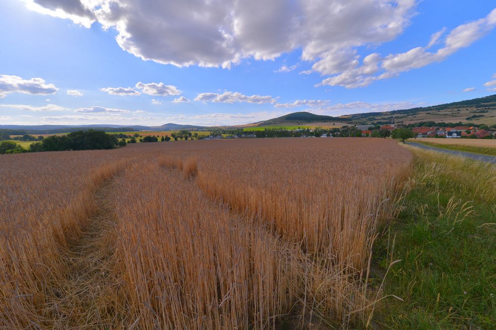 Feld an der Straße nach Helmershausen