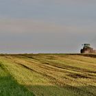 FELD - ARBEIT am Abend