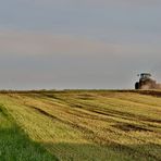 FELD - ARBEIT am Abend