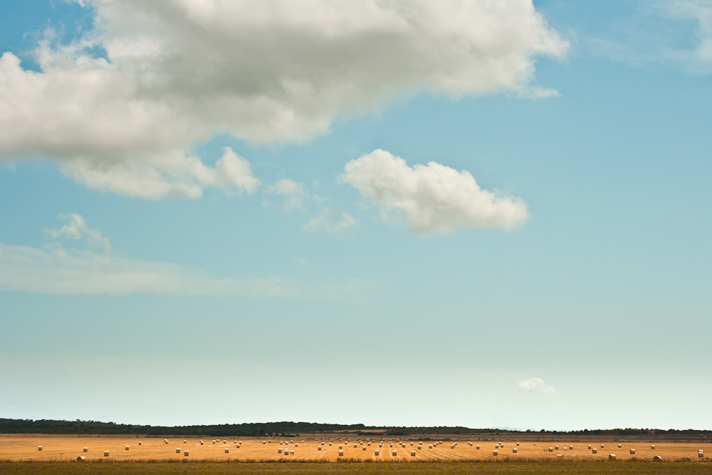 Feld auf Mallorca