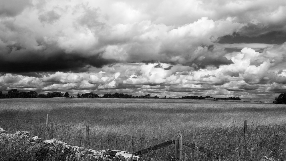 Feld auf Öland