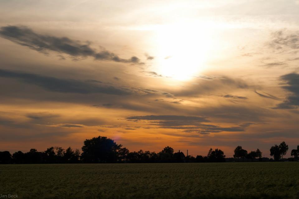 Feld bei Abenddämmerung...