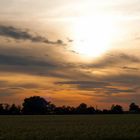 Feld bei Abenddämmerung...