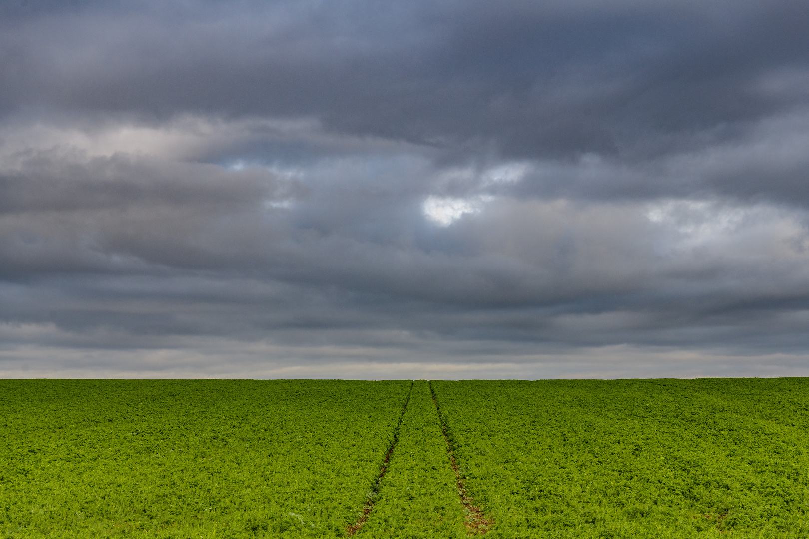 Feld bei Altpoderschsau in Thüringen