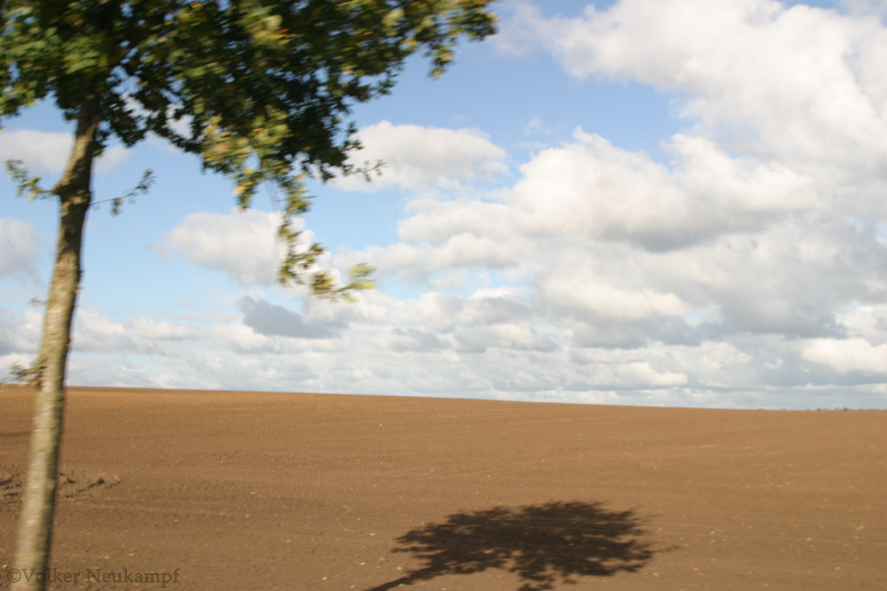 Feld bei Güstrow 2007