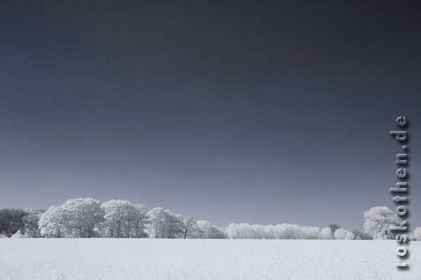 Feld bei Hüls