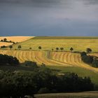 Feld bei Kreischa (Sachsen)