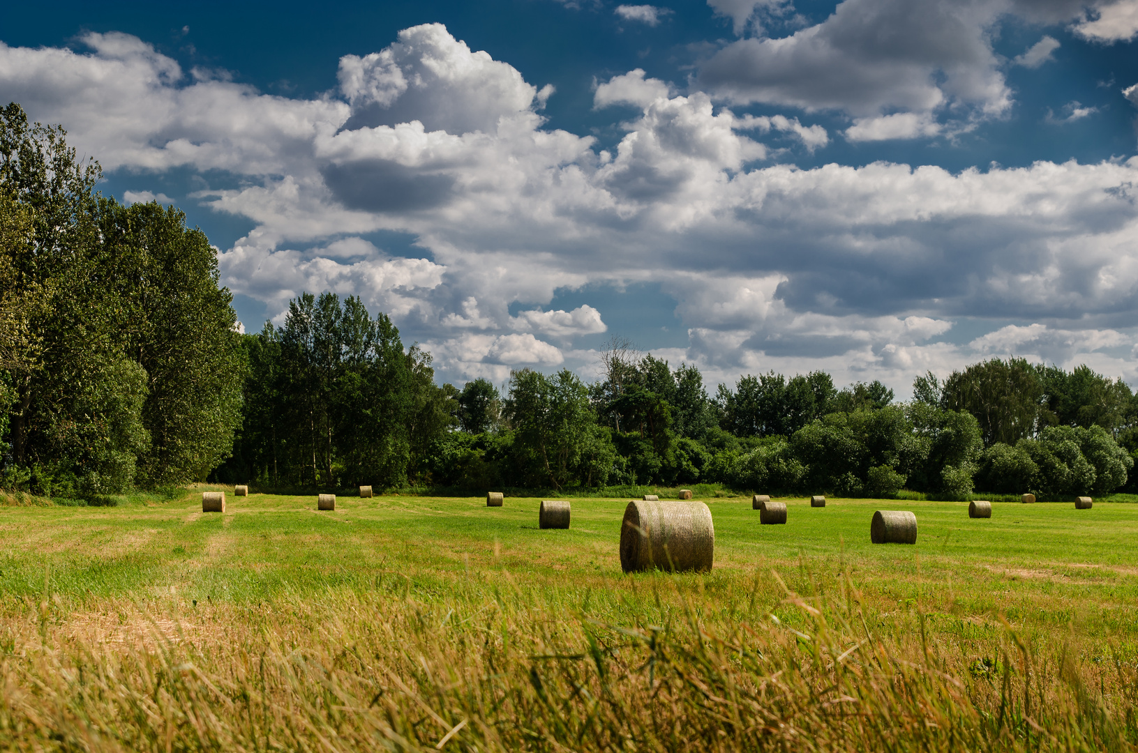 Feld bei Kremmen