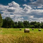 Feld bei Kremmen