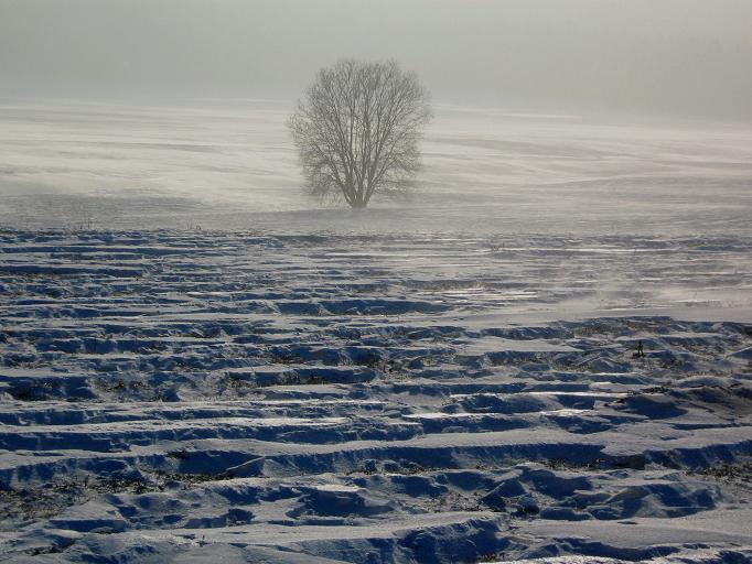 Feld bei Minsk