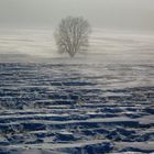 Feld bei Minsk