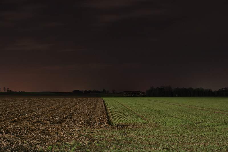 Feld bei Nacht