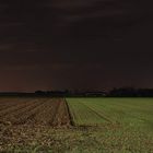 Feld bei Nacht