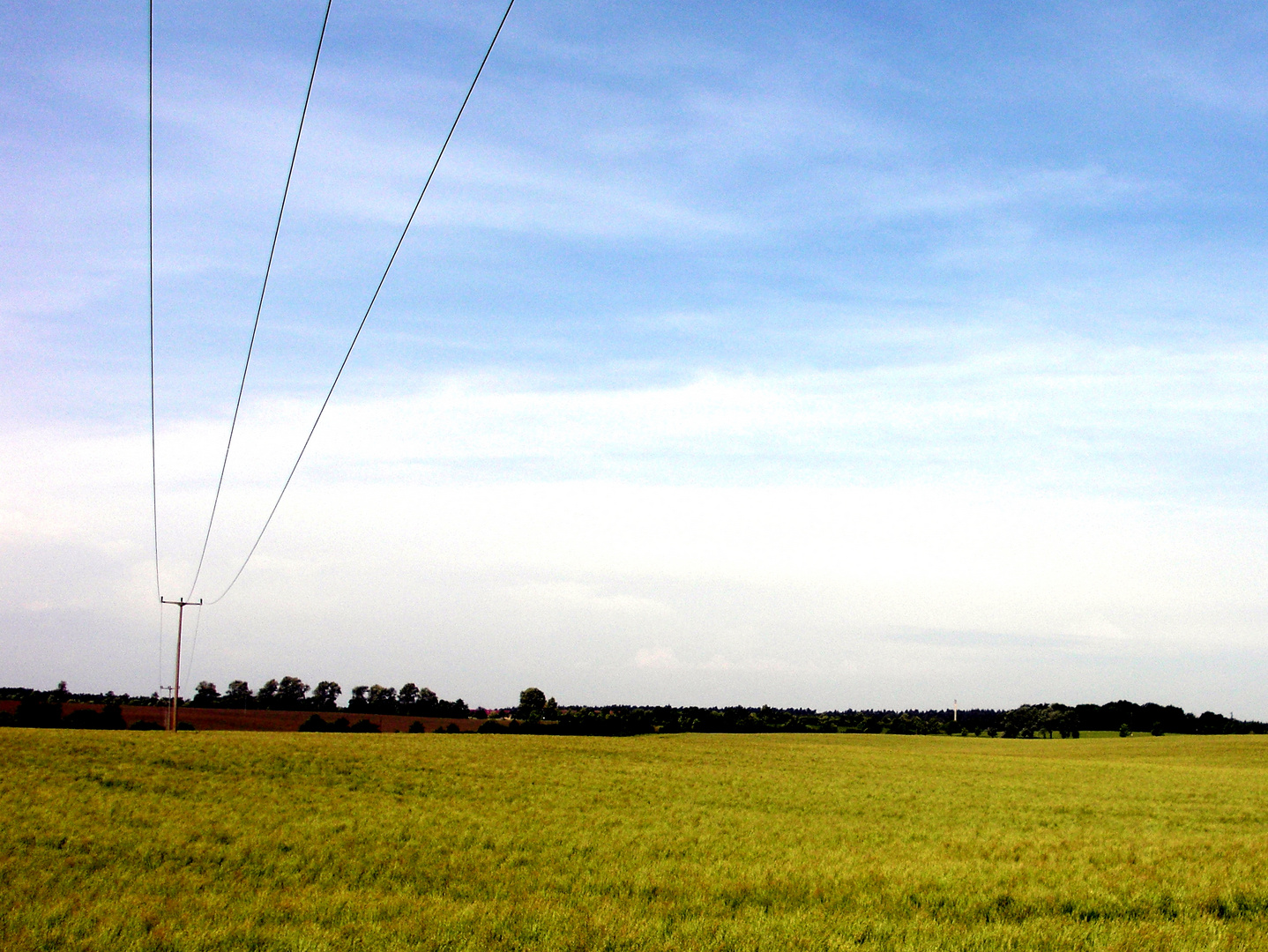 Feld bei Neustrelitz